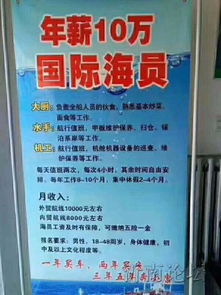 青島州海國際船舶管理 深耕國際船舶管理業務，賦能全球航運